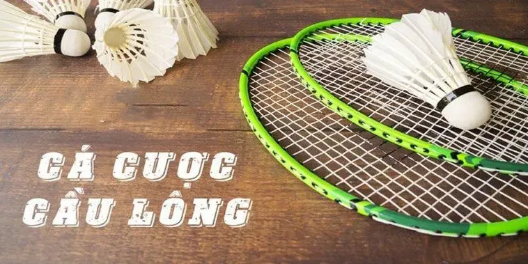 Bí Quyết Cá Cược Cầu Lông Win777 Dễ Thắng Cho Người Mới Bắt Đầu 1 Bí Quyết Cá Cược Cầu Lông Win777 Dễ Thắng Cho Người Mới Bắt Đầu