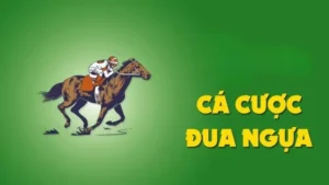 Bí Kíp Thắng Lớn Cá Cược Đua Ngựa Win777 Đỉnh Cao Nhất 2025 10 Bí Kíp Thắng Lớn Cá Cược Đua Ngựa Win777 Đỉnh Cao Nhất 2025