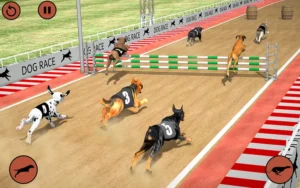 Bí Kíp Thắng Lớn Game Nhanh Đua Chó Tại Win777 Dành Cho Tân Thủ 5 Bí Kíp Thắng Lớn Game Nhanh Đua Chó Tại Win777 Dành Cho Tân Thủ
