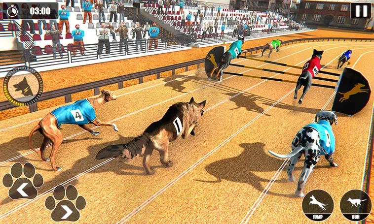 Bí Kíp Thắng Lớn Game Nhanh Đua Chó Tại Win777 Dành Cho Tân Thủ