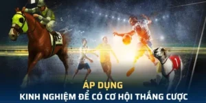 Tìm Hiểu Cá Cược Thể Thao Ảo Win777 Hiệu Quả Nhất Cho Tân Thủ 9 Tìm Hiểu Cá Cược Thể Thao Ảo Win777 Hiệu Quả Nhất Cho Tân Thủ